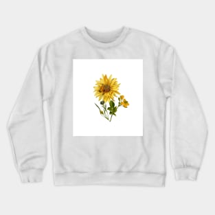 Beautiful Sunflower with butterfly - metamorphora Gift for nature lover Crewneck Sweatshirt